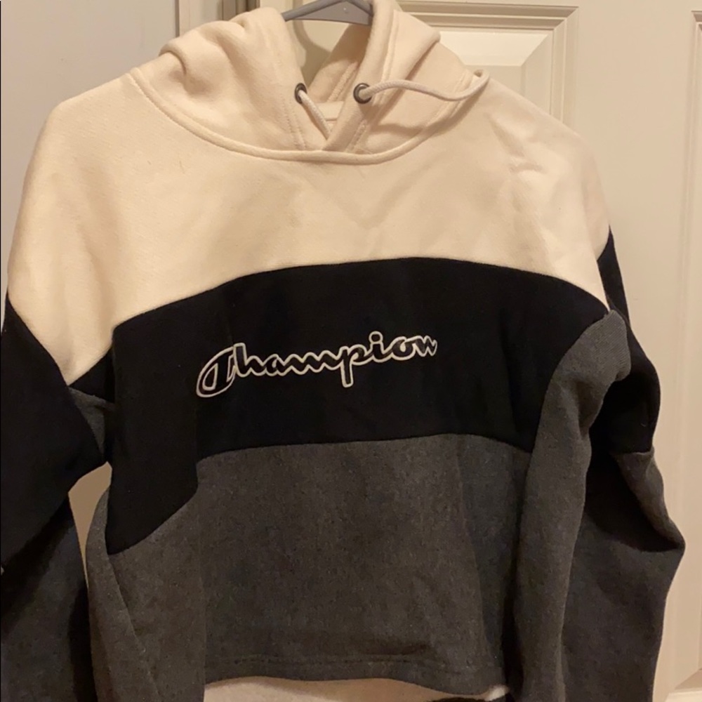 Cropped champion hoodie